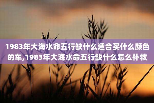 1983年大海水命五行缺什么适合买什么颜色的车,1983年大海水命五行缺什么怎么补救