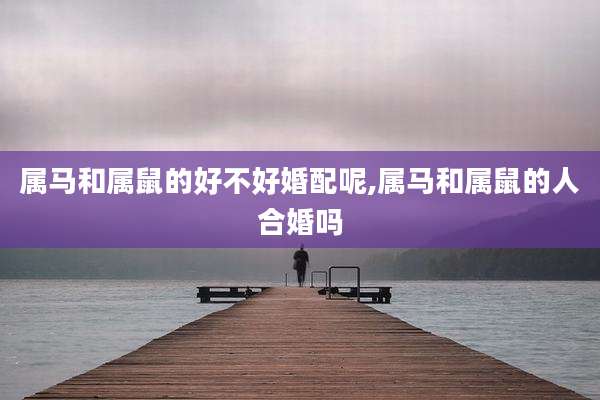 属马和属鼠的好不好婚配呢,属马和属鼠的人合婚吗