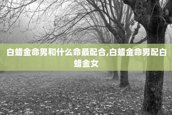 白蜡金命男和什么命最配合,白蜡金命男配白蜡金女