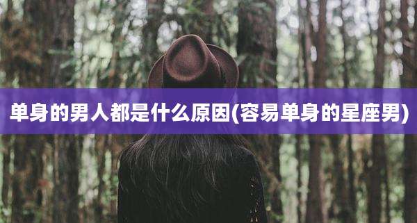 单身的男人都是什么原因(容易单身的星座男)