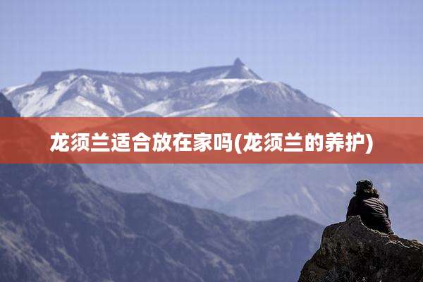 龙须兰适合放在家吗(龙须兰的养护)