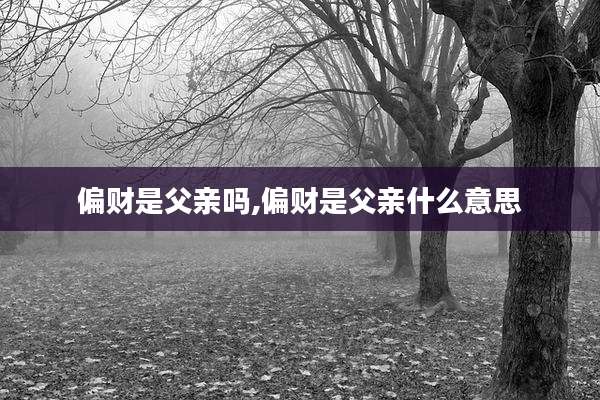 偏财是父亲吗,偏财是父亲什么意思