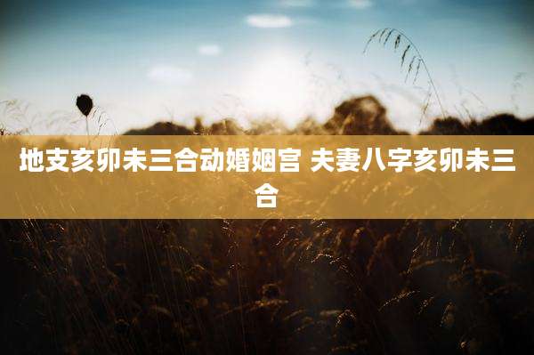 地支亥卯未三合动婚姻宫 夫妻八字亥卯未三合
