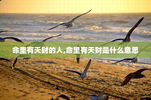 命里有天财的人,命里有天财是什么意思