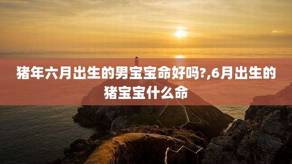猪年六月出生的男宝宝命好吗?,6月出生的猪宝宝什么命