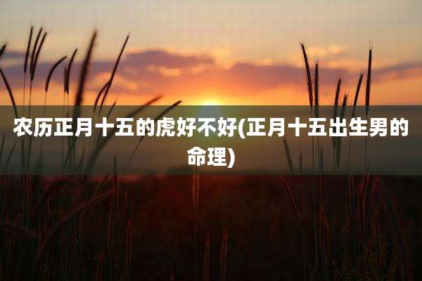 农历正月十五的虎好不好(正月十五出生男的命理)