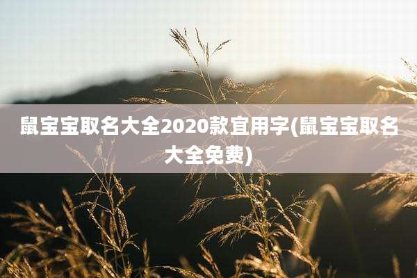 鼠宝宝取名大全2020款宜用字(鼠宝宝取名大全免费)
