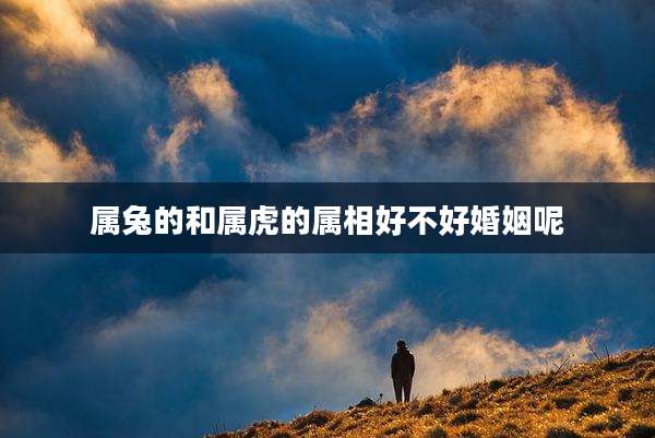 属兔的和属虎的属相好不好婚姻呢
