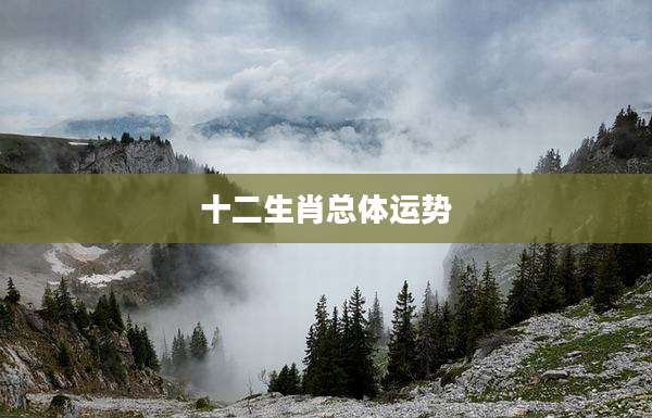 十二生肖总体运势