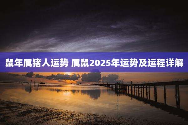 鼠年属猪人运势 属鼠2025年运势及运程详解