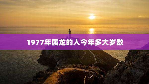 1977年属龙的人今年多大岁数