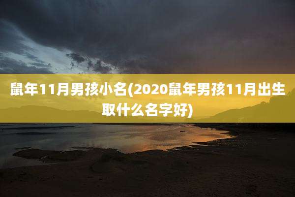鼠年11月男孩小名(2020鼠年男孩11月出生取什么名字好)