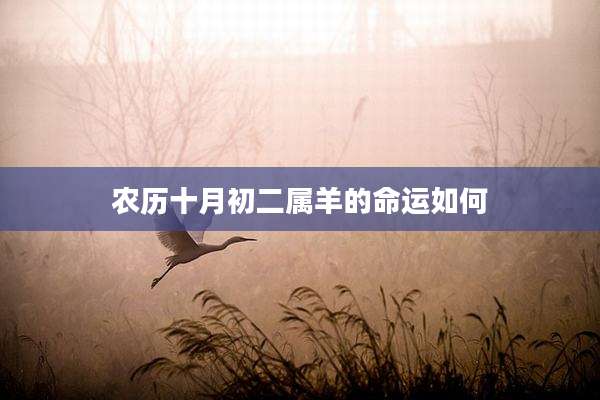 农历十月初二属羊的命运如何