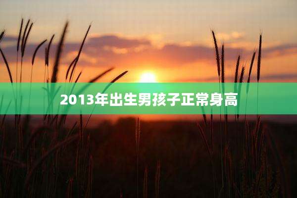 2013年出生男孩子正常身高