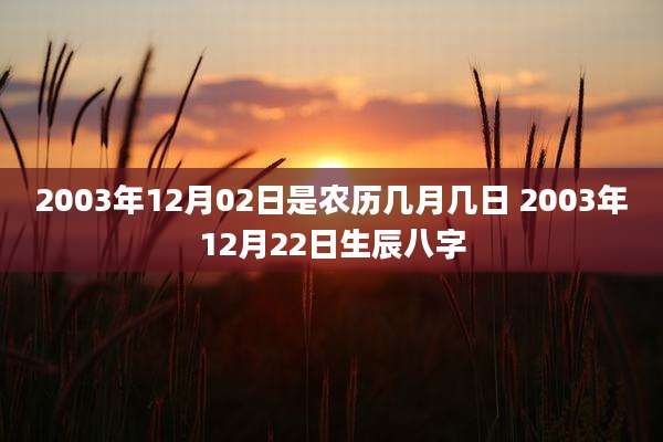 2003年12月02日是农历几月几日 2003年12月22日生辰八字