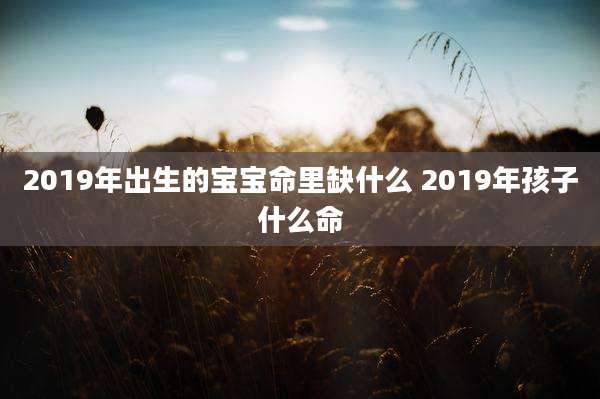 2019年出生的宝宝命里缺什么 2019年孩子什么命