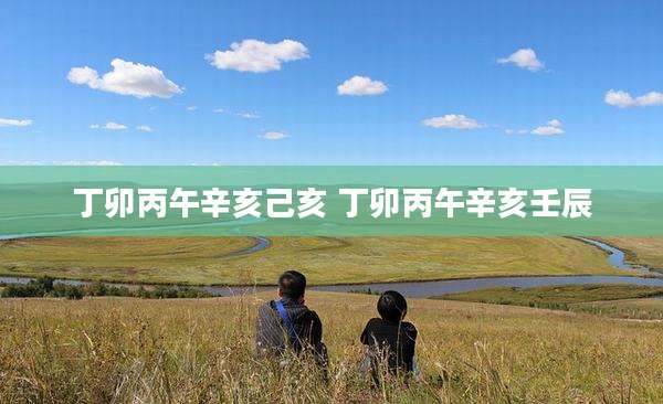 丁卯丙午辛亥己亥 丁卯丙午辛亥壬辰