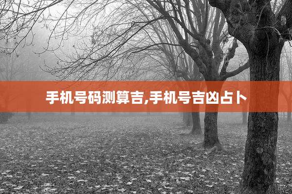 手机号码测算吉,手机号吉凶占卜