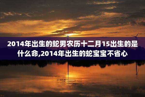 2014年出生的蛇男农历十二月15出生的是什么命,2014年出生的蛇宝宝不省心