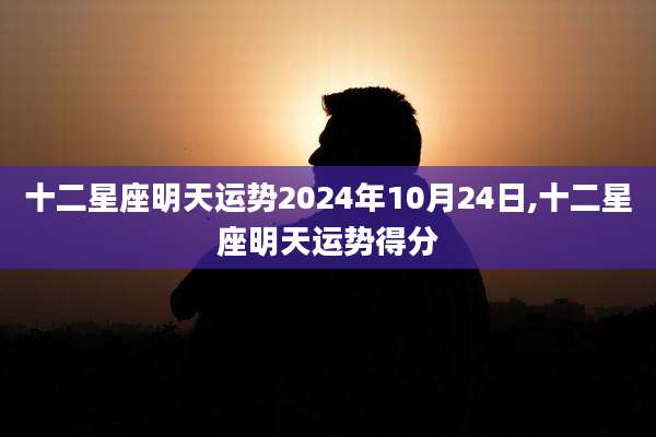 十二星座明天运势2024年10月24日,十二星座明天运势得分