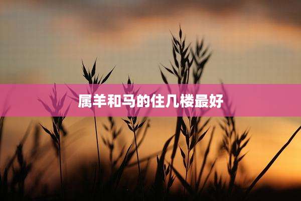 属羊和马的住几楼最好