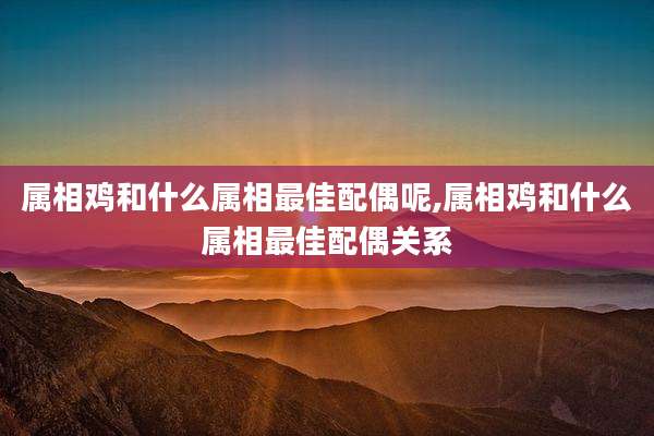 属相鸡和什么属相最佳配偶呢,属相鸡和什么属相最佳配偶关系