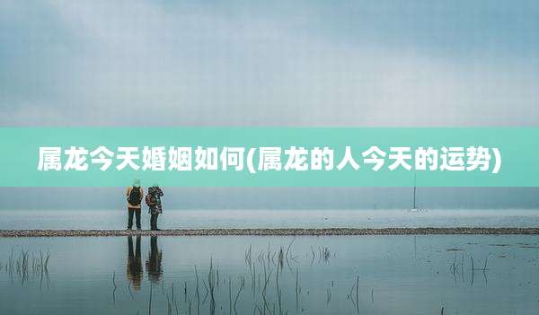 属龙今天婚姻如何(属龙的人今天的运势)