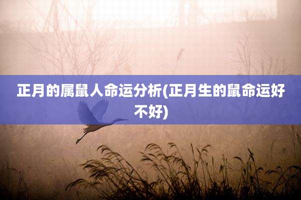 正月的属鼠人命运分析(正月生的鼠命运好不好)