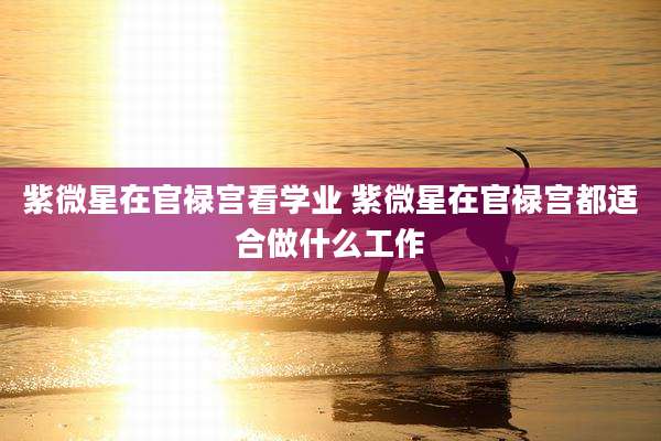 紫微星在官禄宫看学业 紫微星在官禄宫都适合做什么工作