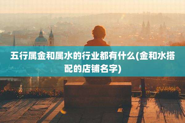 五行属金和属水的行业都有什么(金和水搭配的店铺名字)