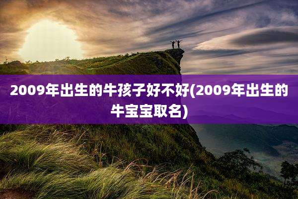 2009年出生的牛孩子好不好(2009年出生的牛宝宝取名)