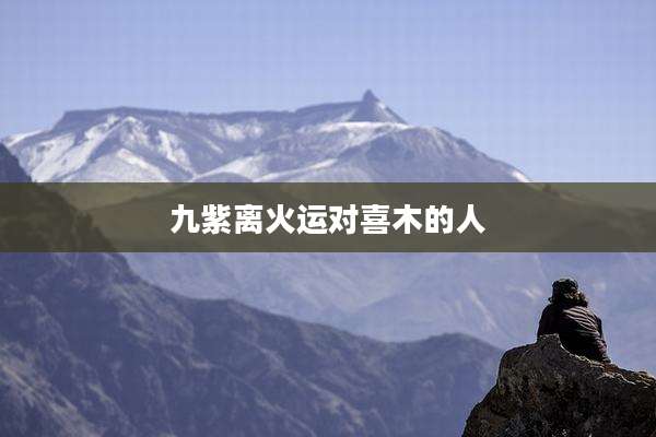 九紫离火运对喜木的人