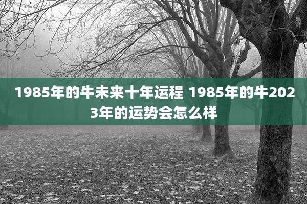 1985年的牛未来十年运程 1985年的牛2023年的运势会怎么样