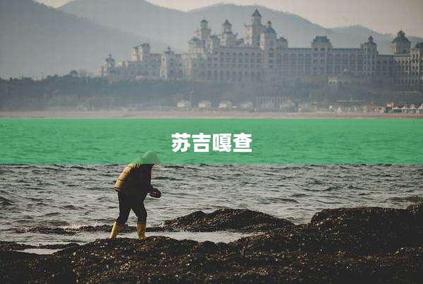 苏吉嘎查