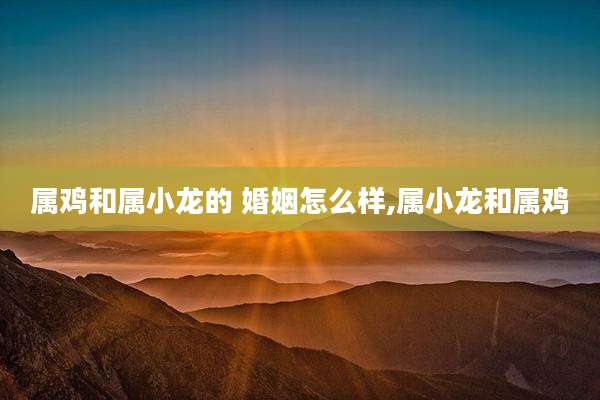 属鸡和属小龙的 婚姻怎么样,属小龙和属鸡