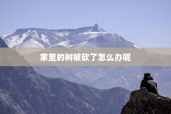 家里的树被砍了怎么办呢
