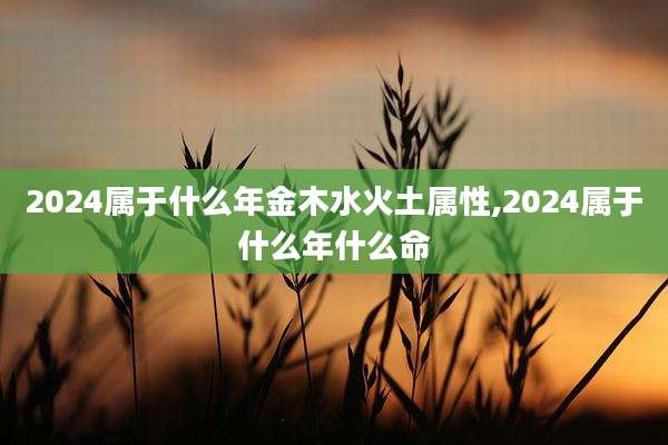 2024属于什么年金木水火土属性,2024属于什么年什么命