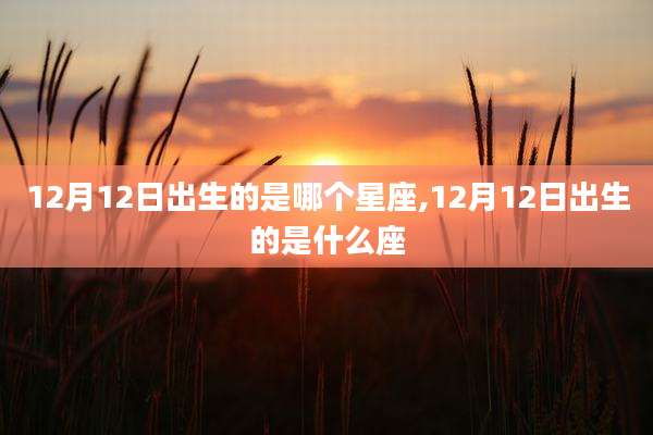 12月12日出生的是哪个星座,12月12日出生的是什么座