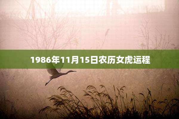 1986年11月15日农历女虎运程