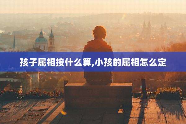孩子属相按什么算,小孩的属相怎么定