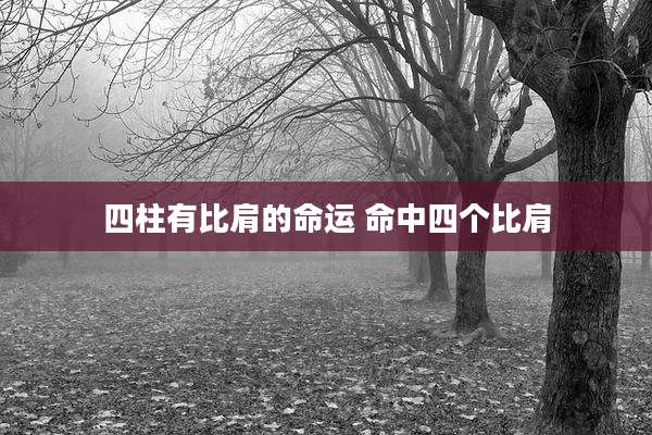 四柱有比肩的命运 命中四个比肩
