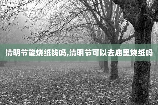 清明节能烧纸钱吗,清明节可以去庙里烧纸吗