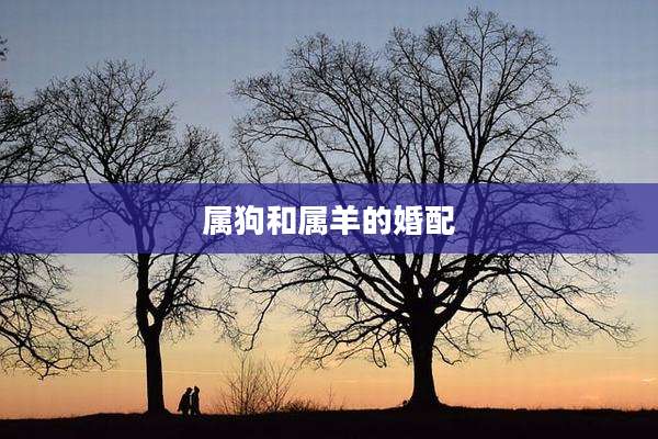 属狗和属羊的婚配