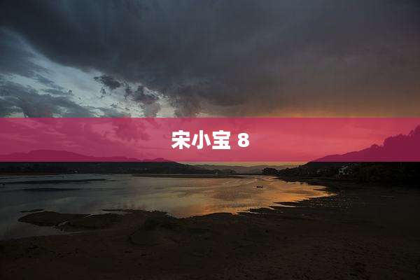 宋小宝 8