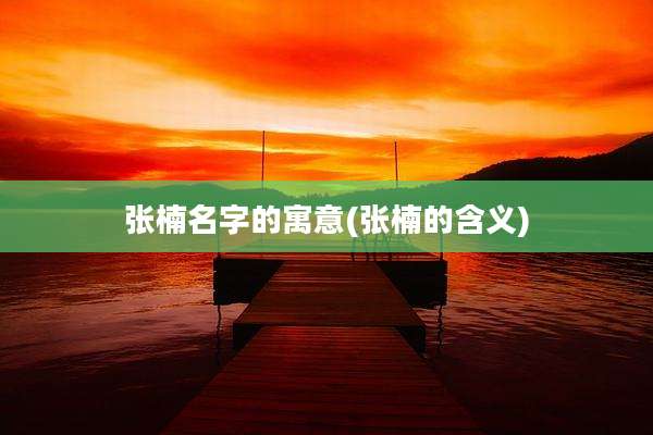 张楠名字的寓意(张楠的含义)