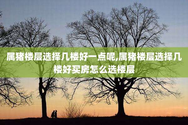 属猪楼层选择几楼好一点呢,属猪楼层选择几楼好买房怎么选楼层