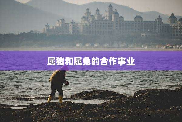 属猪和属兔的合作事业