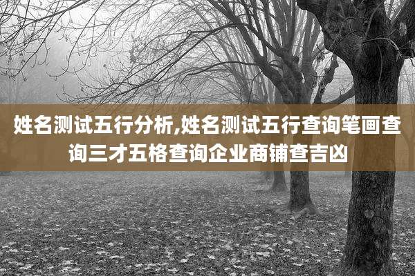 姓名测试五行分析,姓名测试五行查询笔画查询三才五格查询企业商铺查吉凶