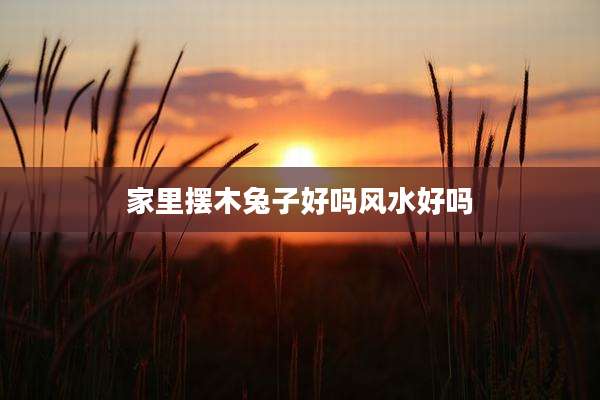家里摆木兔子好吗风水好吗