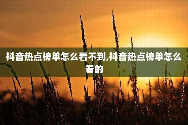 抖音热点榜单怎么看不到,抖音热点榜单怎么看的